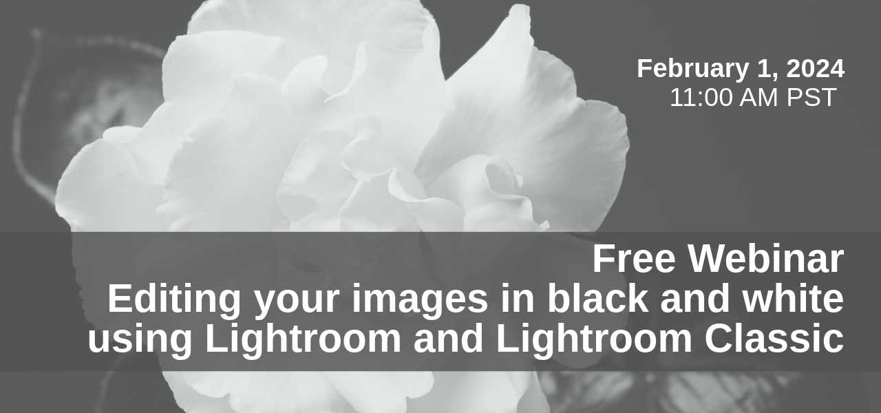 Replay of the Webinar Black and White 101 in Lightroom